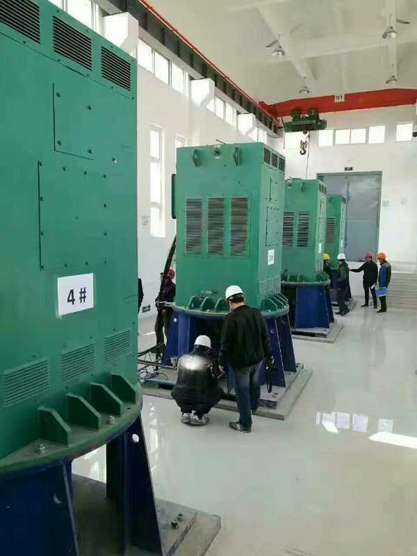 寮步镇某污水处理厂使用我厂的立式高压电机安装现场